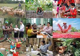 NHCSXH đẩy mạnh tín dụng chính sách thực hiện Nghị quyết số 11/NQ-CP