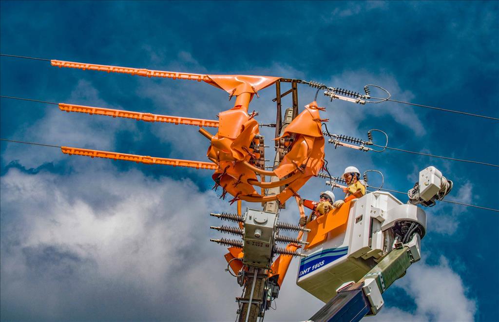 Bản tin Kinh tế - Tài chính ngày 13/05/2025 