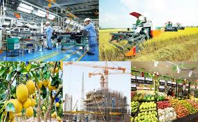 Tổng hợp Kinh tế - Tài chính tuần 03/11 - 07/11/2025 